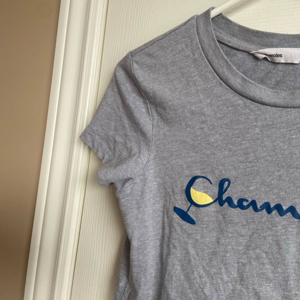 Grey Champagne Crop Top - Picture 5 of 5